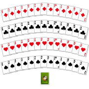 jungle-winwin_all_cards